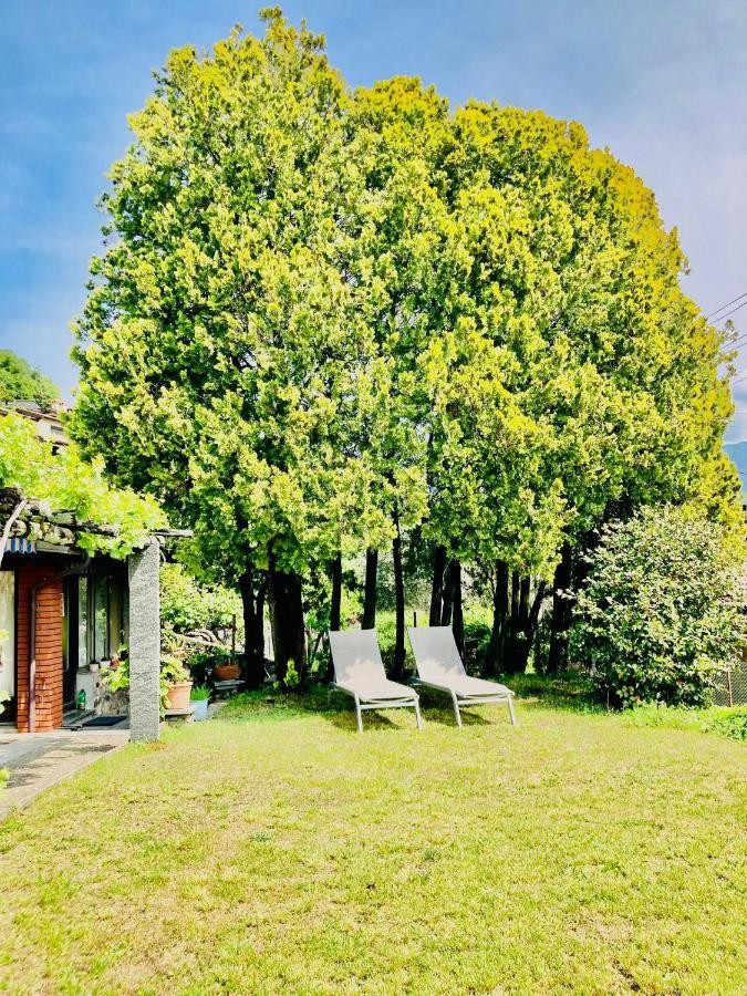 Casa Angiolina - Holidays Morcote Zewnętrze zdjęcie